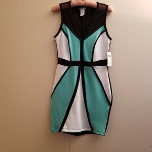 Babe Society "Hailey" Dress (L)